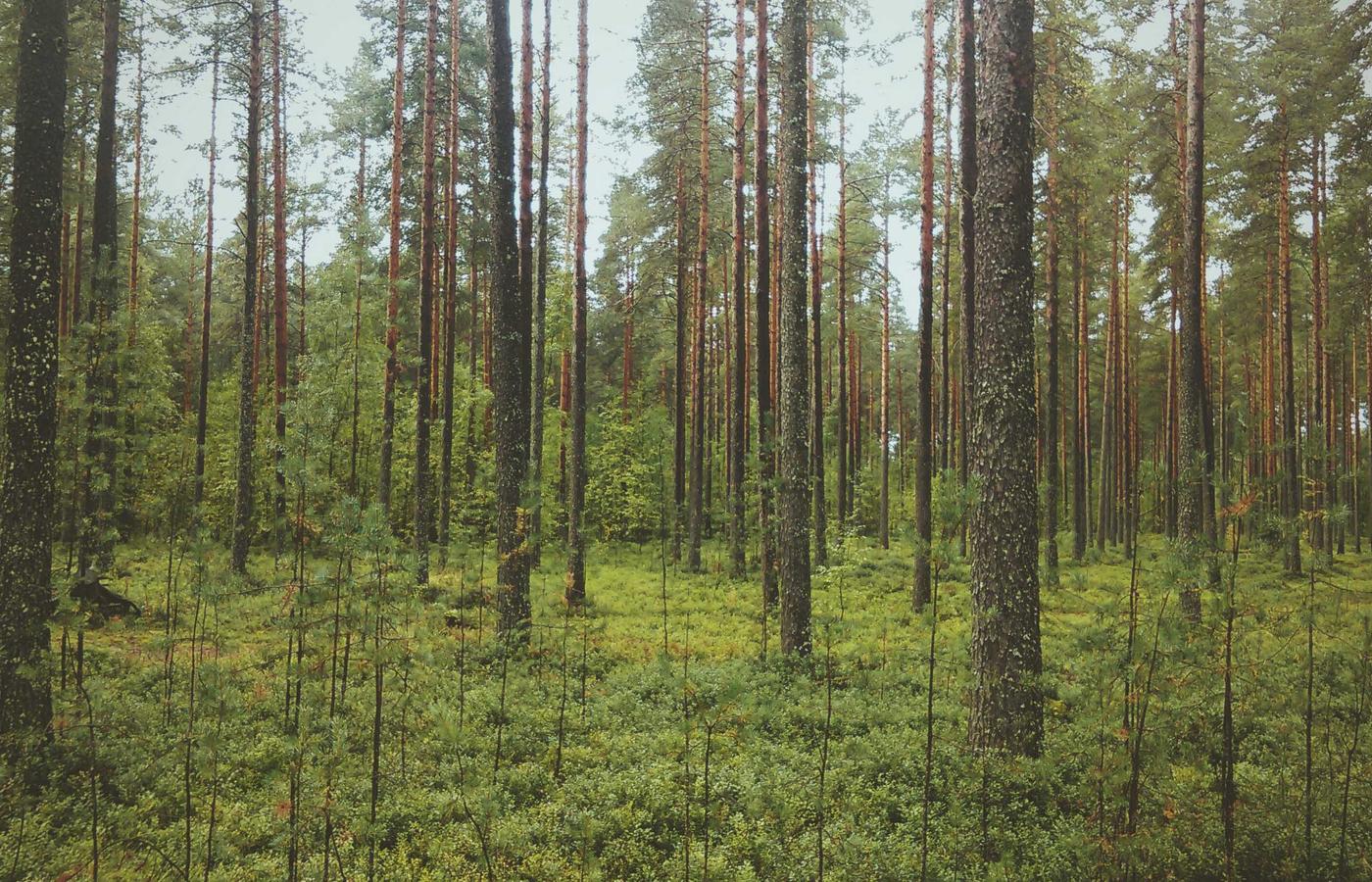 The iconic Great Blue Hole, surrounded by turquoise waters of the Belize Barrier Reef