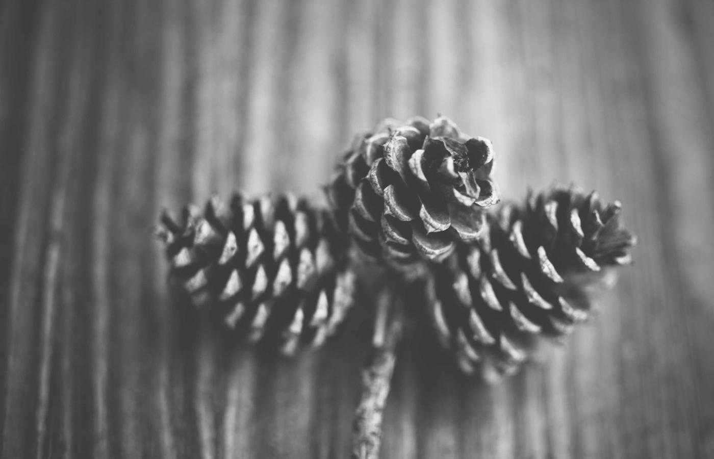 Croatia - best time to visit in 2026