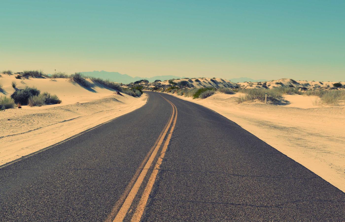 A giant Galapagos tortoise resting in the lush green highlands of Santa Cruz Island