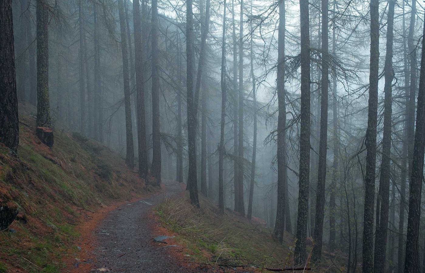 The Great Pyramids of Giza with a camel resting in the foreground