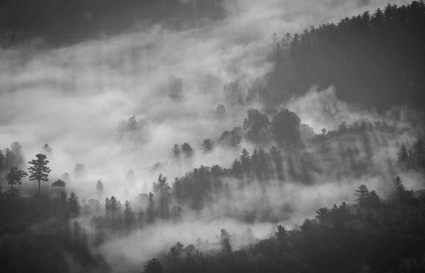 The iconic, intricately carved facade of The Treasury (Al Khazneh) peeking through the narrow Siq canyon in Petra, Jordan