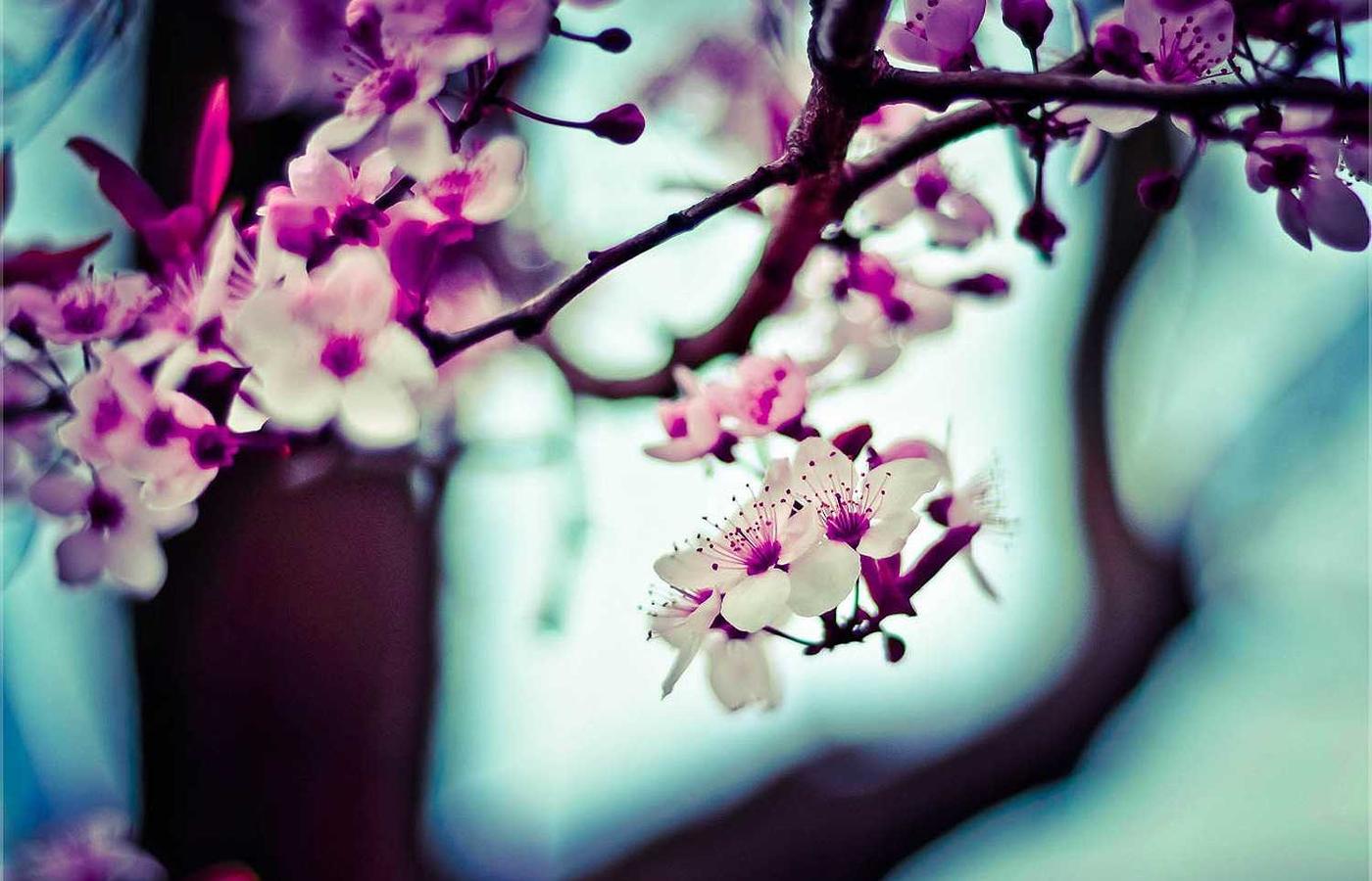 Palacio de Bellas Artes in Mexico City at golden hour